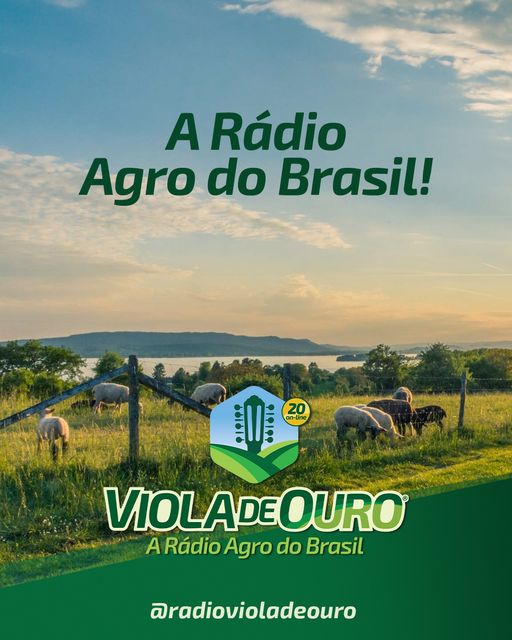 Radio  Viola  de  OURO
